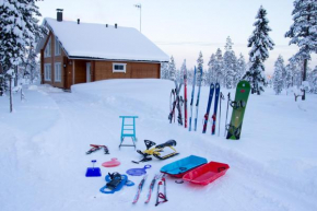 Гостиница Lapland Villa  Кемиярви